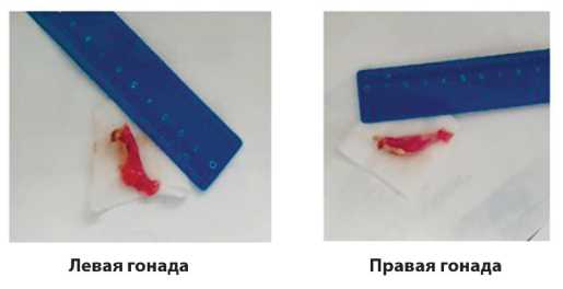 Изображение на обложке