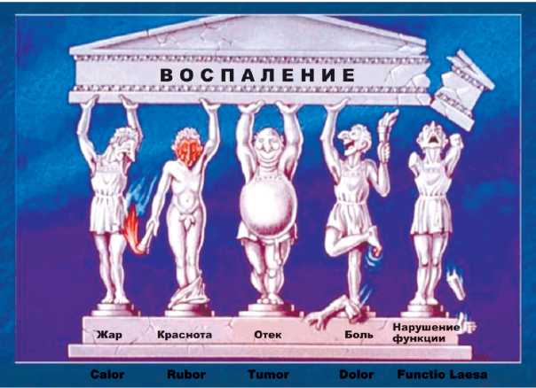 Изображение на обложке