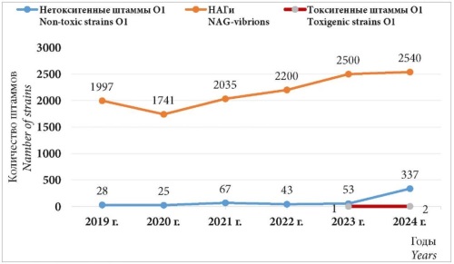 Изображение на обложке