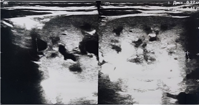 Изображение на обложке