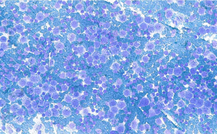 Изображение на обложке