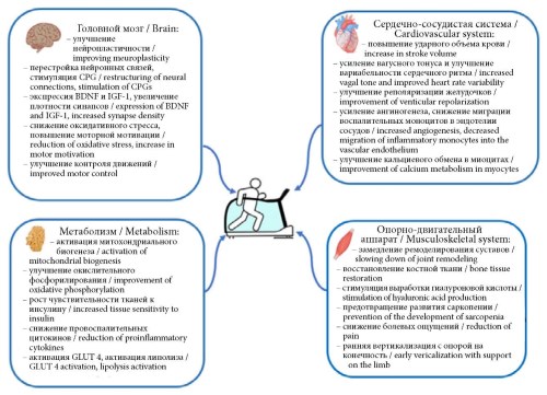 Изображение на обложке
