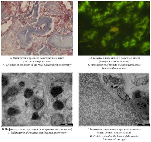 Изображение на обложке